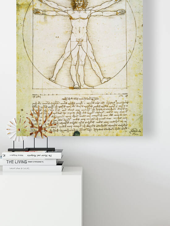 Vitruvian Man by Classic Painting