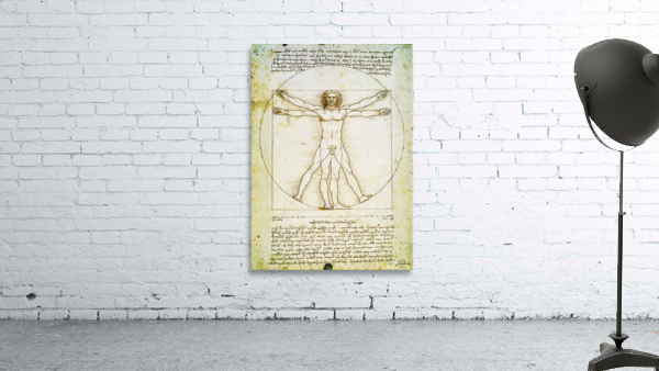 Vitruvian Man Wall Preview