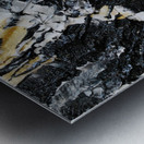 Songe  Metal print