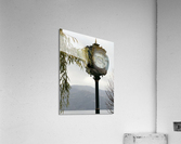 Artewinkle14 Acrylic Print