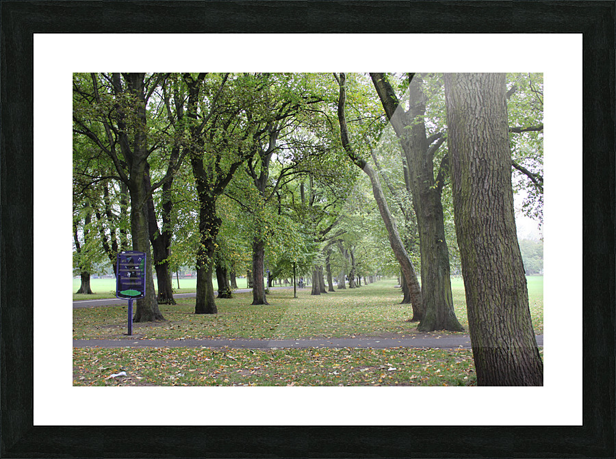 Artewinkle2 Picture Frame print