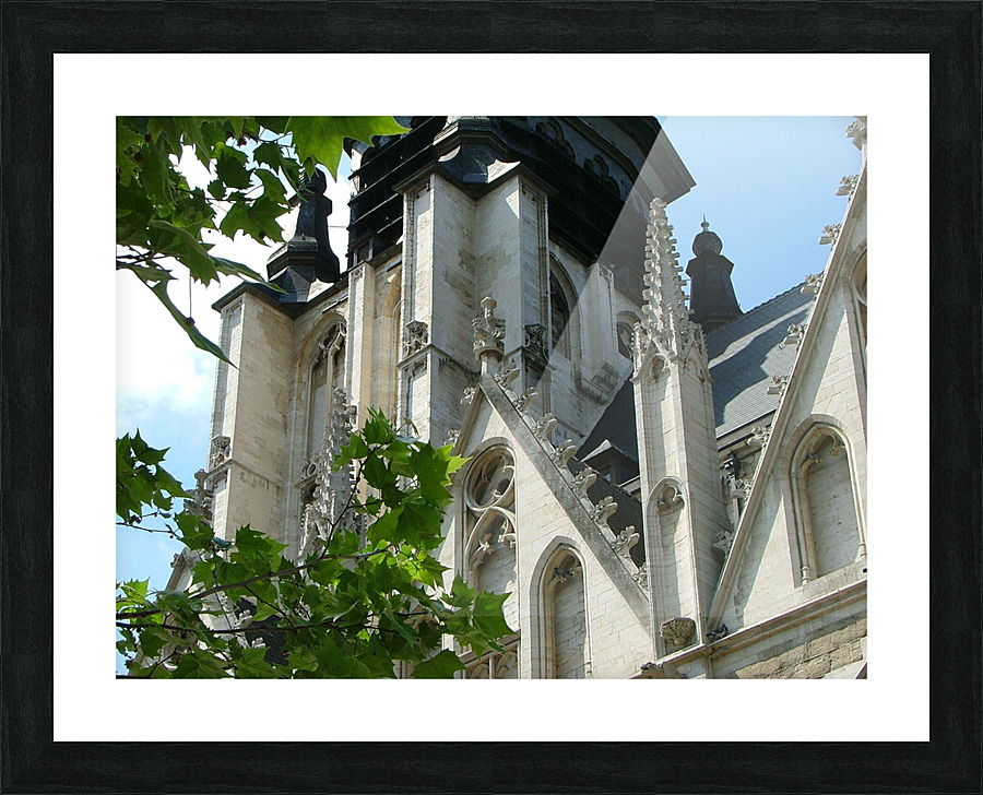 Artewinkle7 Picture Frame print