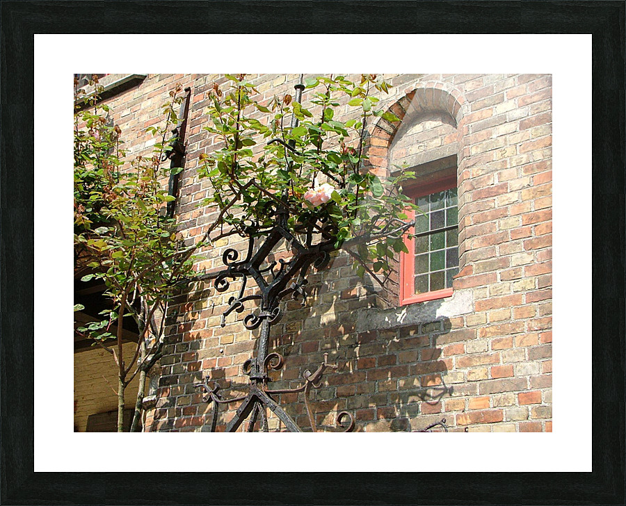 Artewinkle9 Picture Frame print