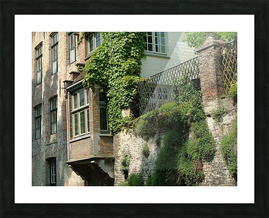 Artewinkle10 Picture Frame print