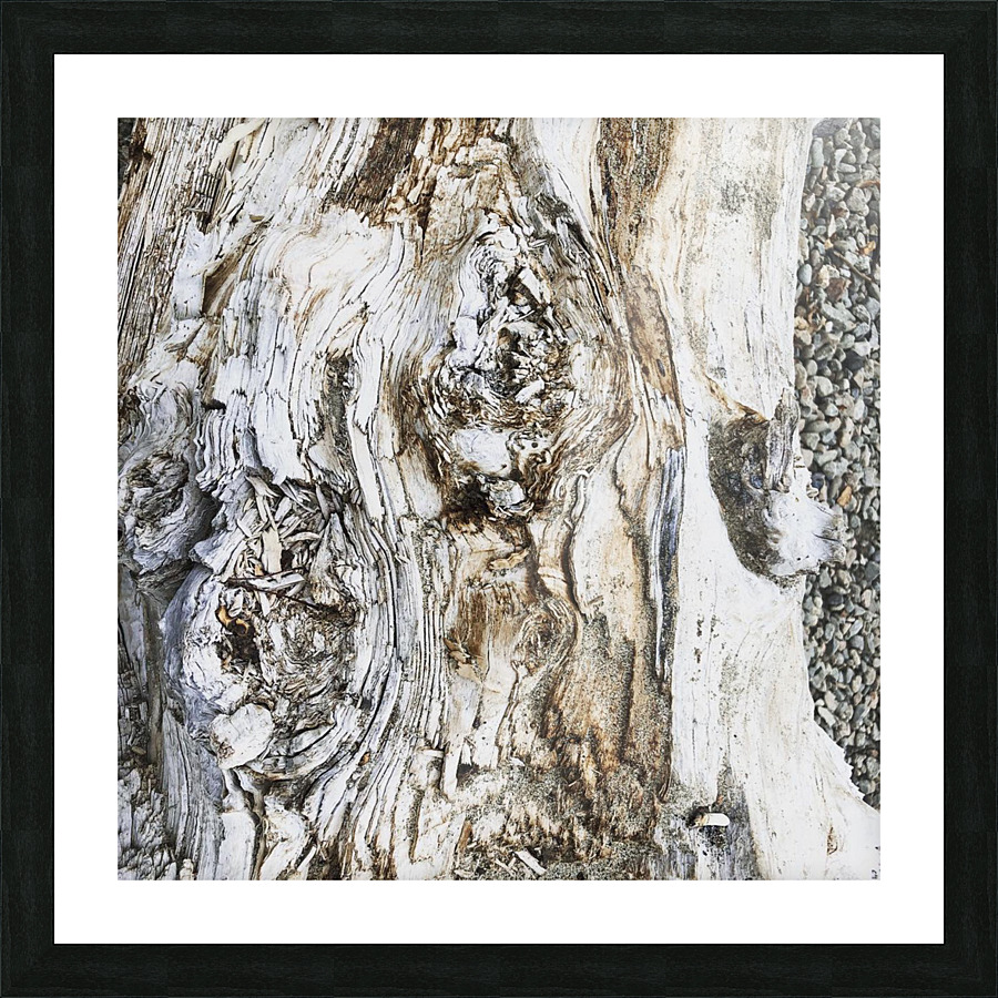 Artewinkle13 Picture Frame print