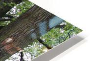 Artewinkle2 HD Metal print