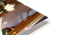 Artewinkle8 HD Metal print