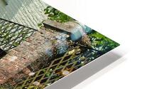 Artewinkle10 HD Metal print