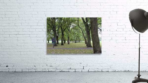 Artewinkle2 Wall Preview