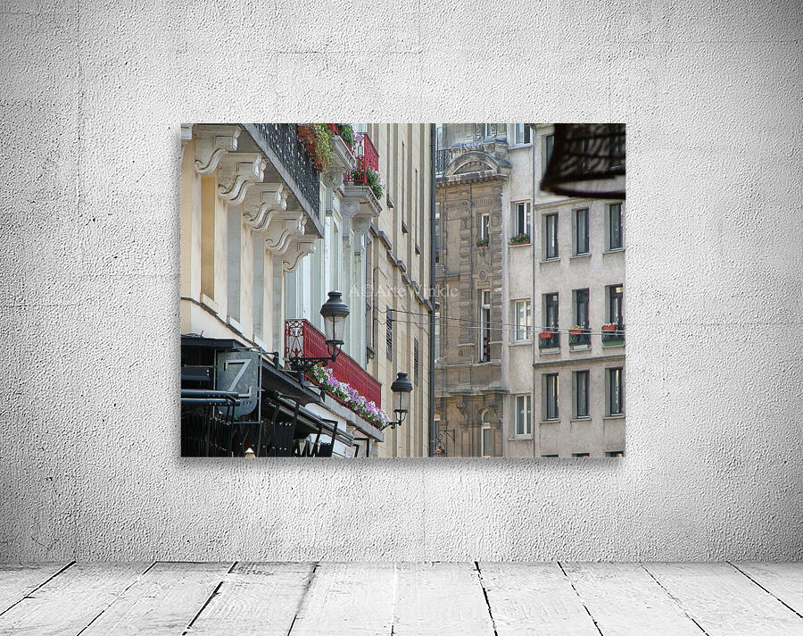 Artewinkle6 Wall Preview