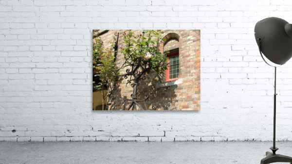 Artewinkle9 Wall Preview