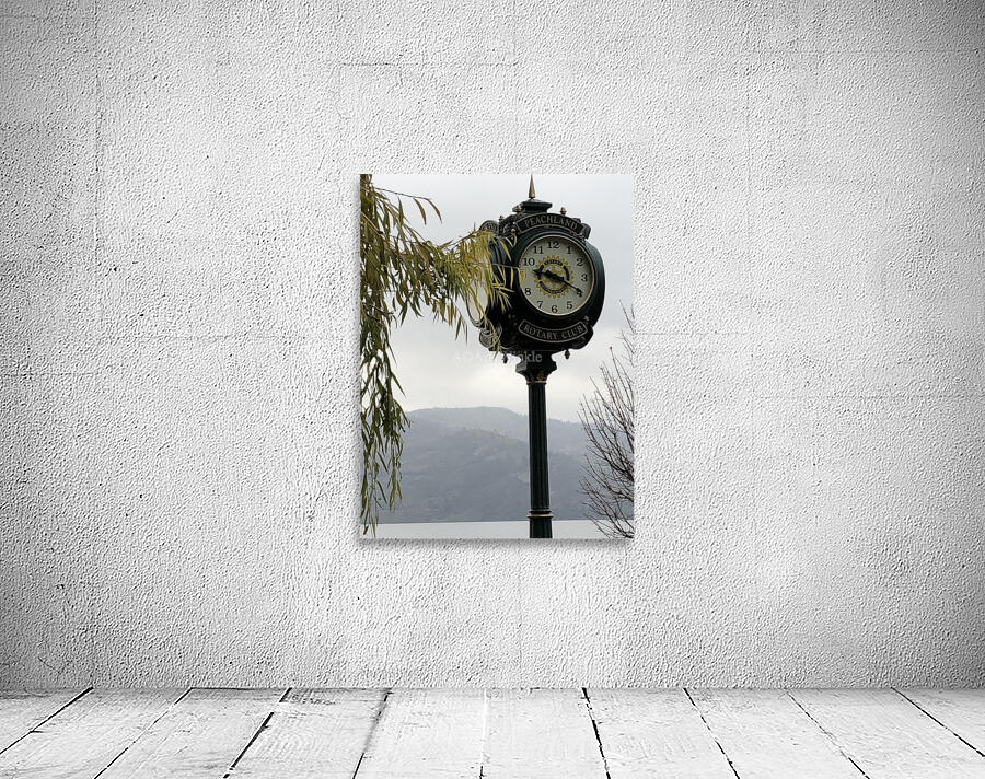 Artewinkle14 Wall Preview