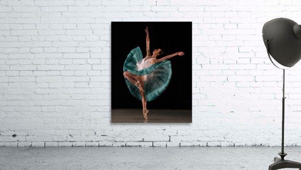 Strike a Pose Wall Preview