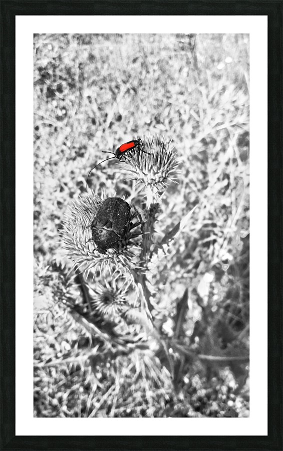 Red Point  Picture Frame print
