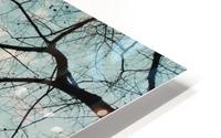 Tree Veins HD Metal print