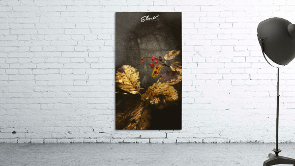 Autumn Wall Preview