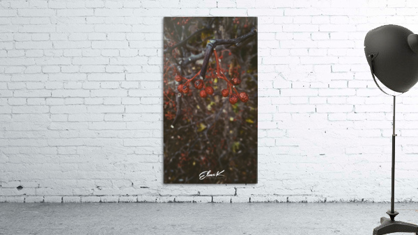 Red Bullets Wall Preview
