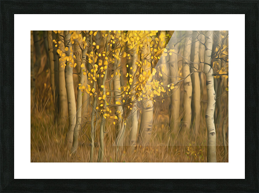 7I2A4812 Picture Frame print