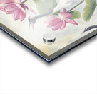 Grues du Japon Acrylic print