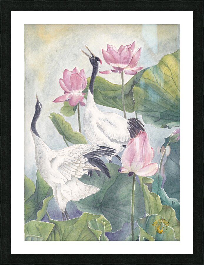 Grues du Japon Picture Frame print