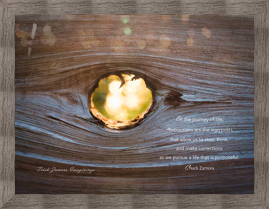 Obstructions are Transparent Picture Frame print