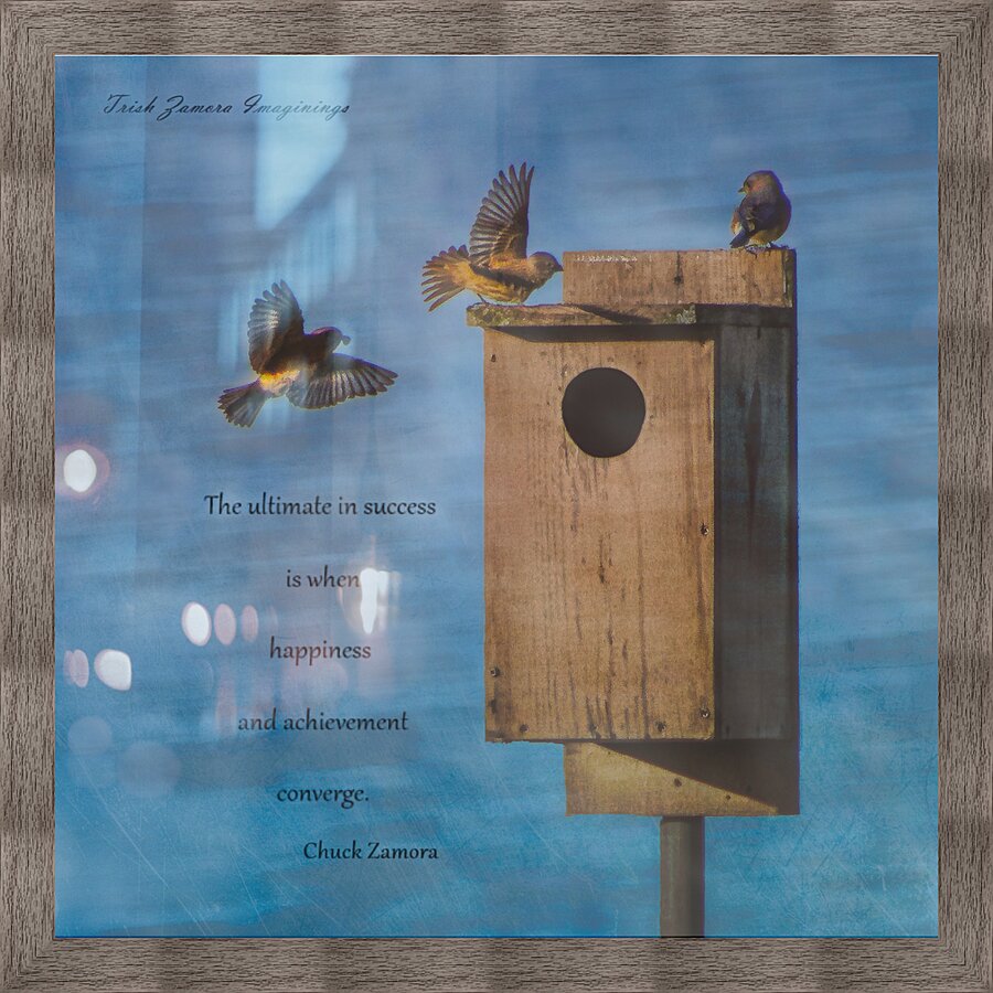 Bird House Picture Frame print