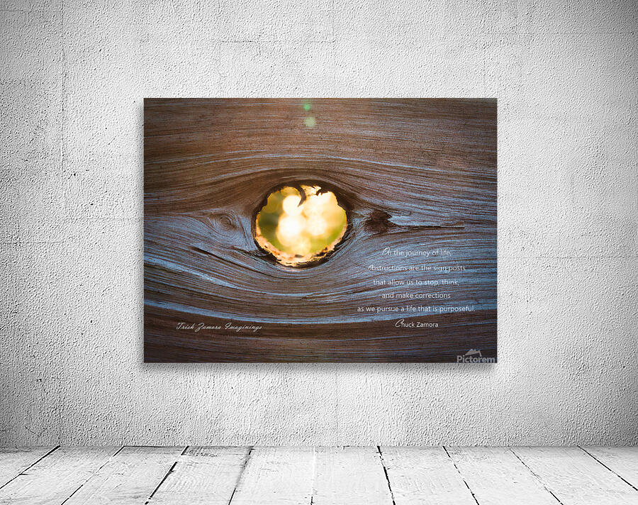 Obstructions are Transparent Wall Preview