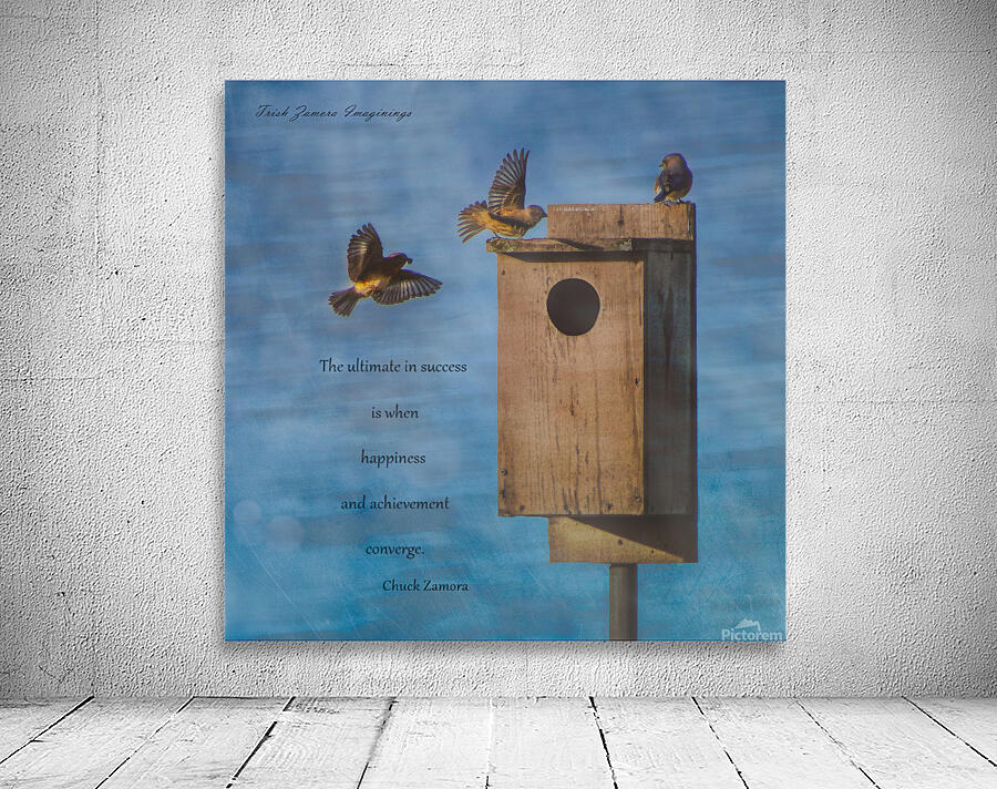 Bird House Wall Preview