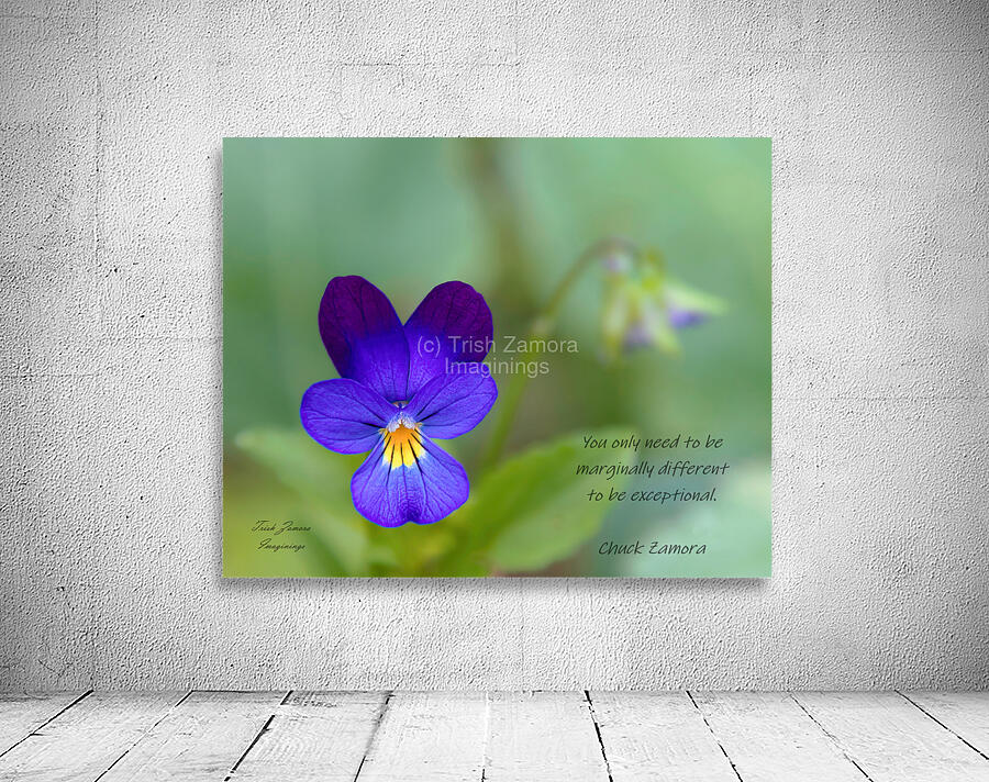 Lone Viola  Wall Preview