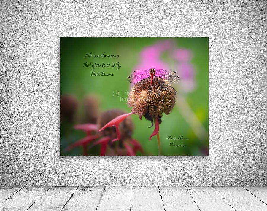 Dragonfly Elegance Wall Preview