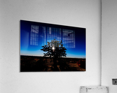 Medusa Acrylic Print