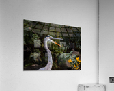 wow Acrylic Print
