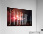 The Cat  Acrylic Print