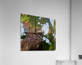 I have Arrived Acrylic Print