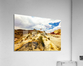 Desert Flower Acrylic Print