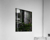 Looking Through You Acrylic Print