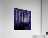 Coming Out Party Acrylic Print