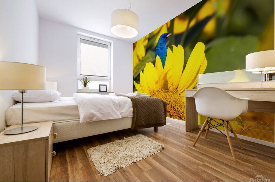 Vibrant Mural print
