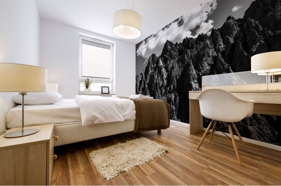 The Point  Mural print