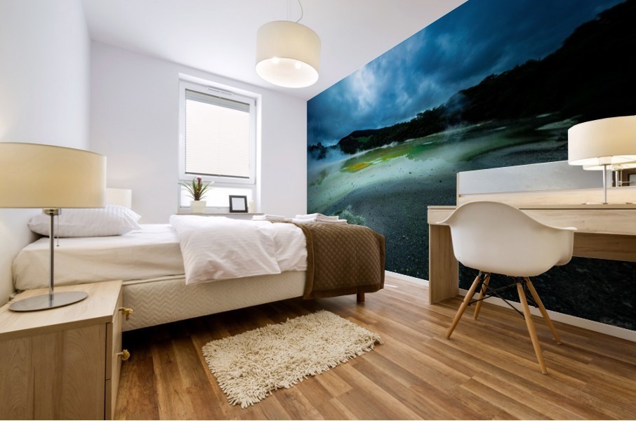 Egg Yoke  Mural print
