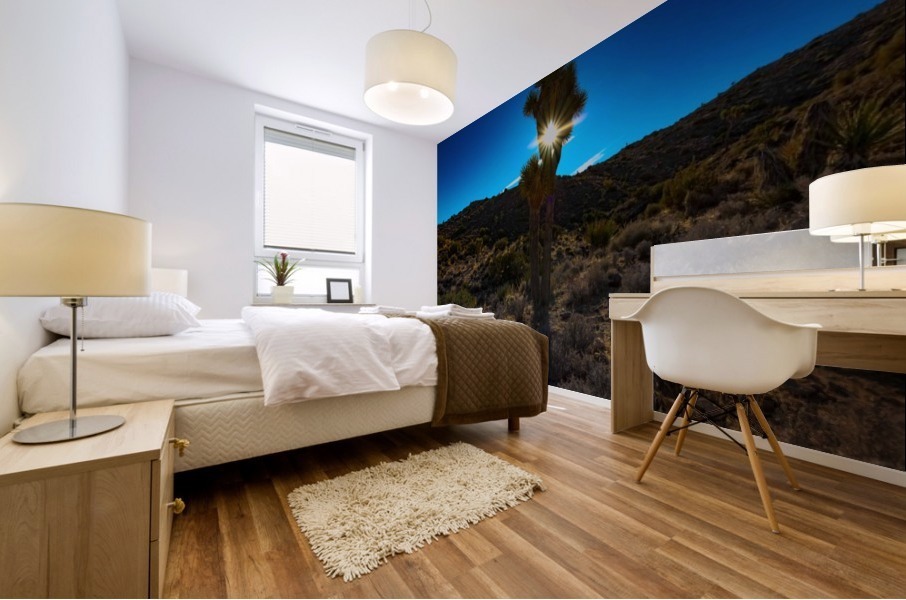 Blinded by the Light Mural print