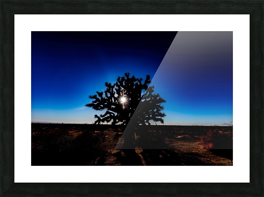 Medusa Picture Frame print