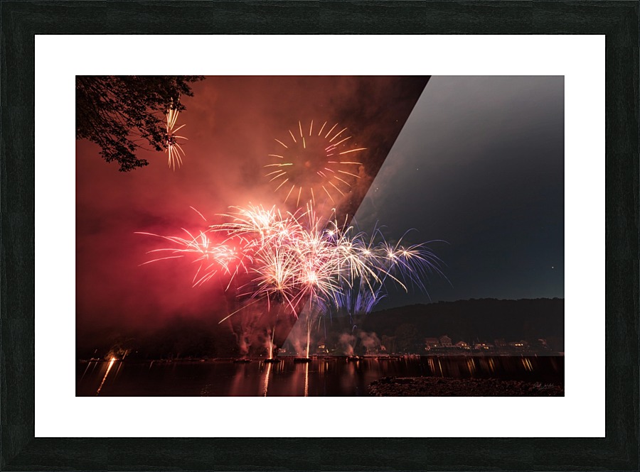 The Cat  Picture Frame print
