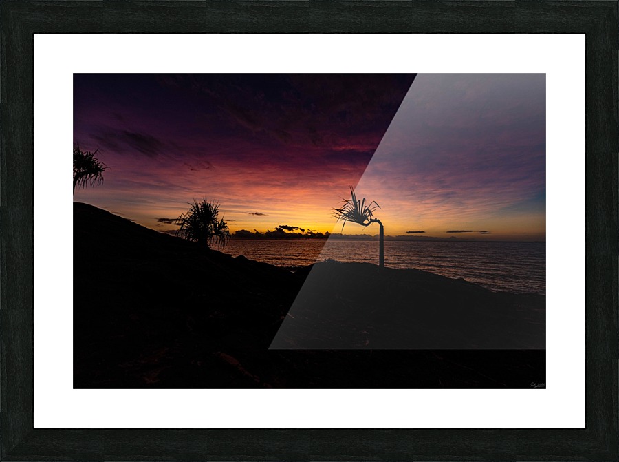 Palm Sunrise Picture Frame print