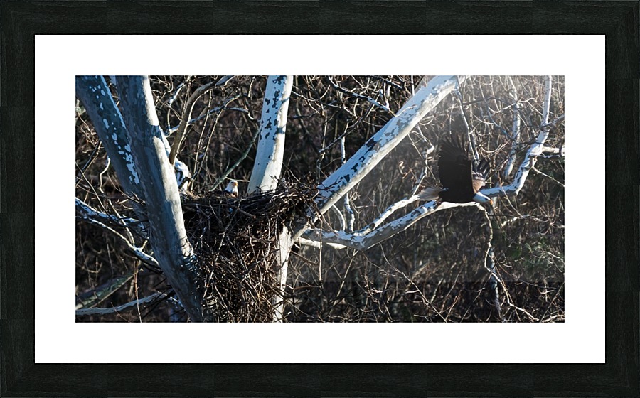Team Work Picture Frame print