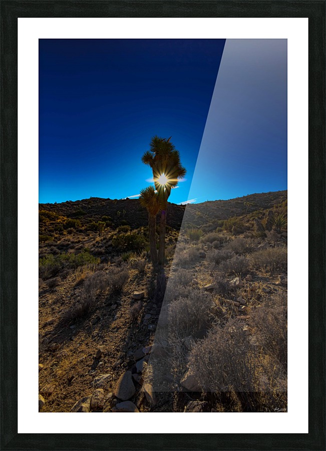 Blinded by the Light Picture Frame print