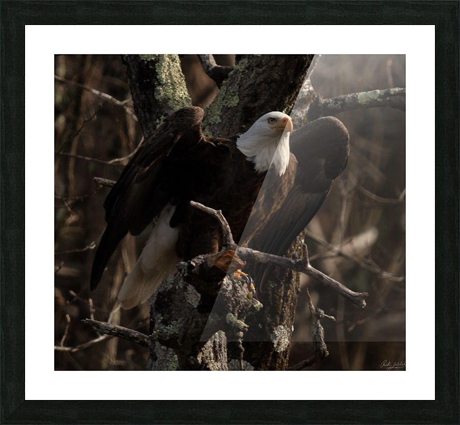 Angel Picture Frame print
