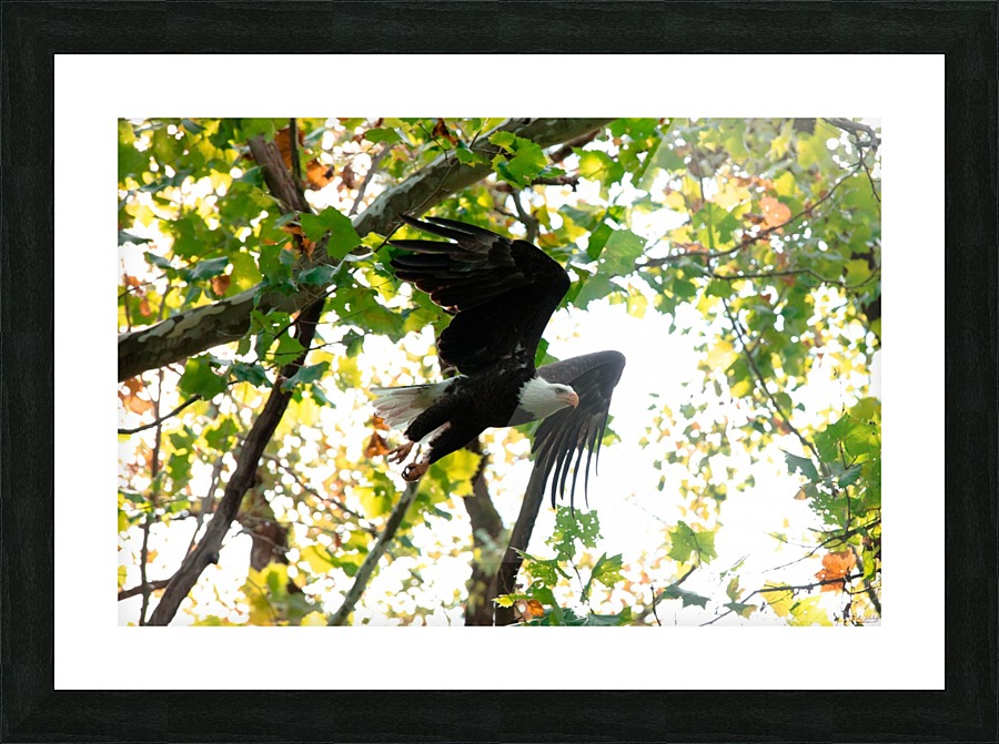 Ethel Picture Frame print