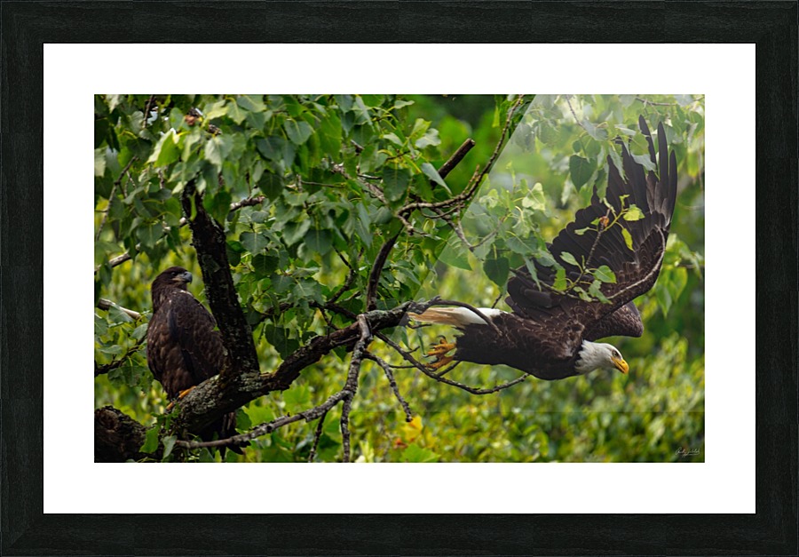 Follow Me Picture Frame print