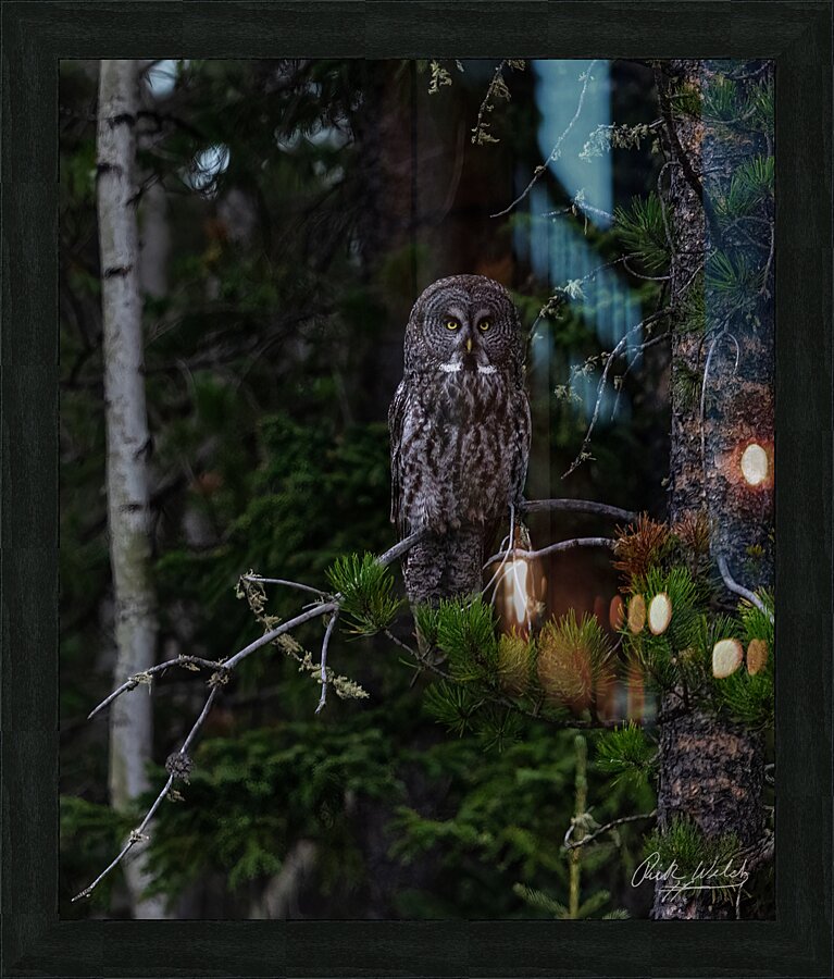 Looking Through You Picture Frame print